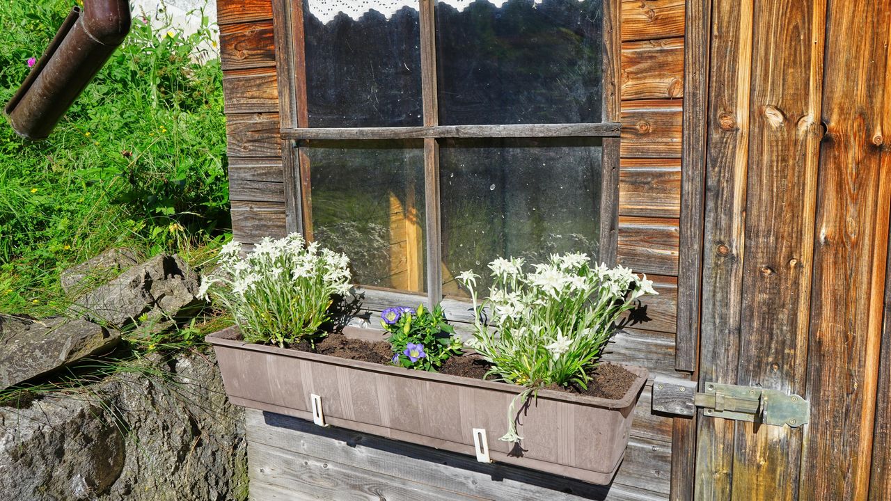 Terrasse 2 Terrasse 2